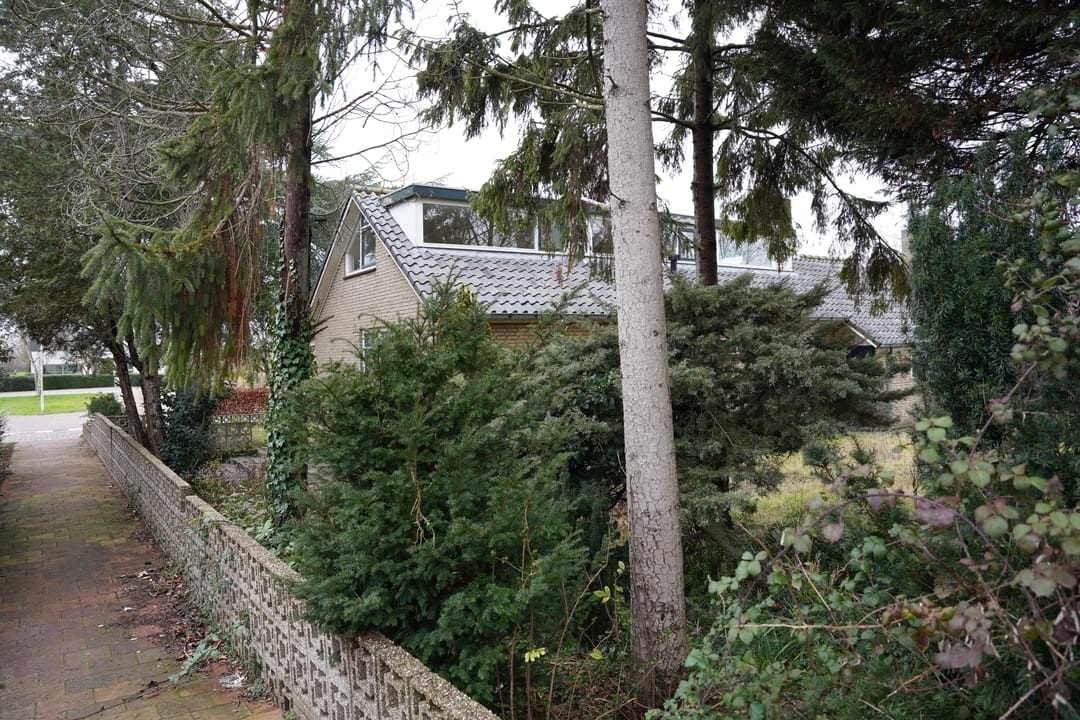 Foto 47 van 't Schuttebocht 23