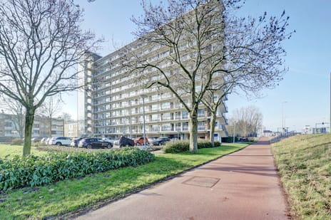 Jan Dammassestraat thumbnail