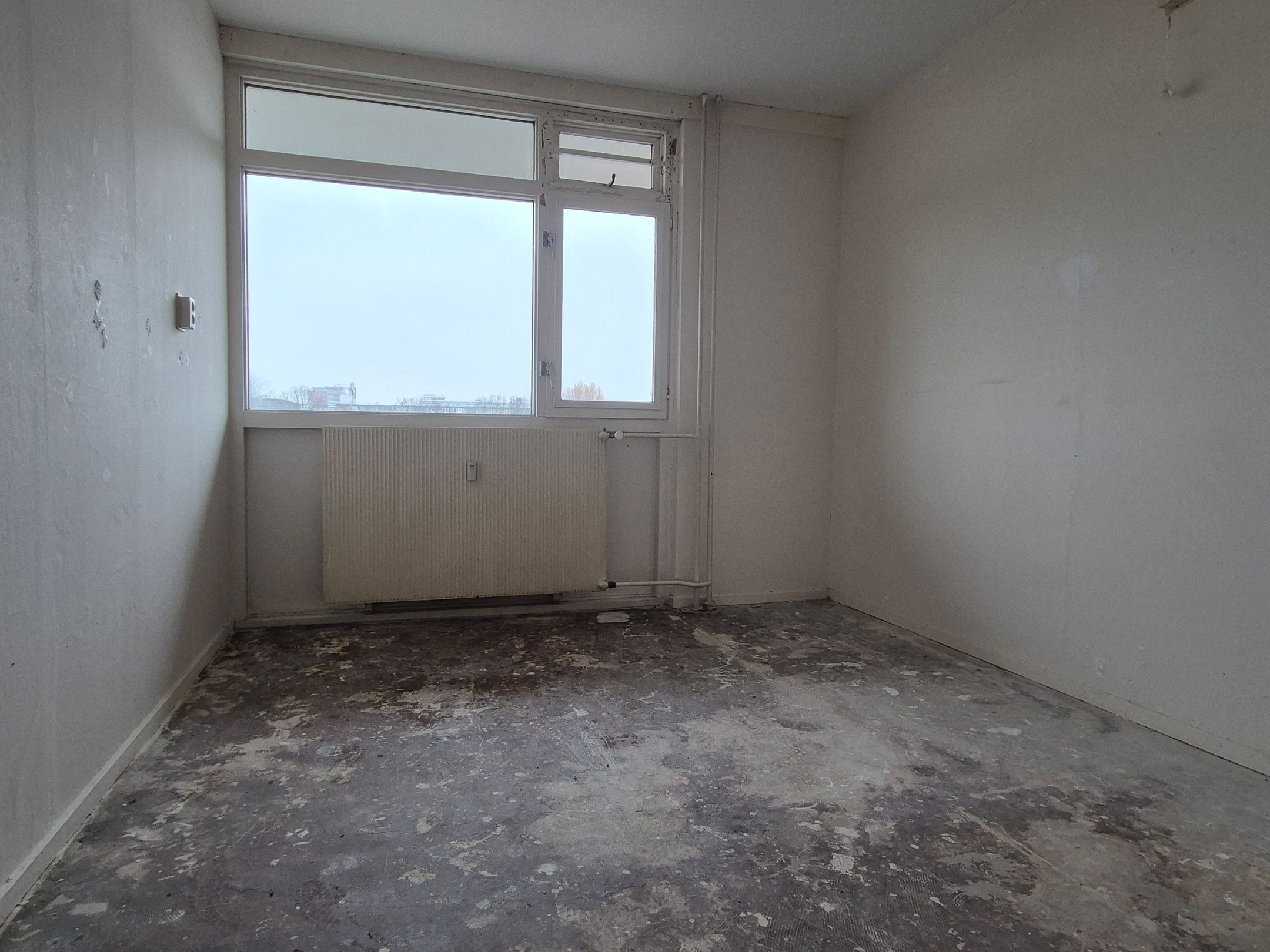 Photo 15 of Venusstraat 314