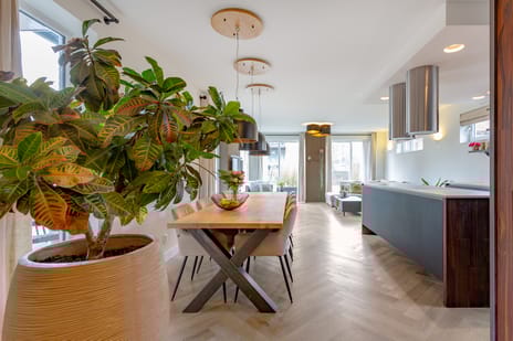 Eva Besnyöstraat 354 secondary image