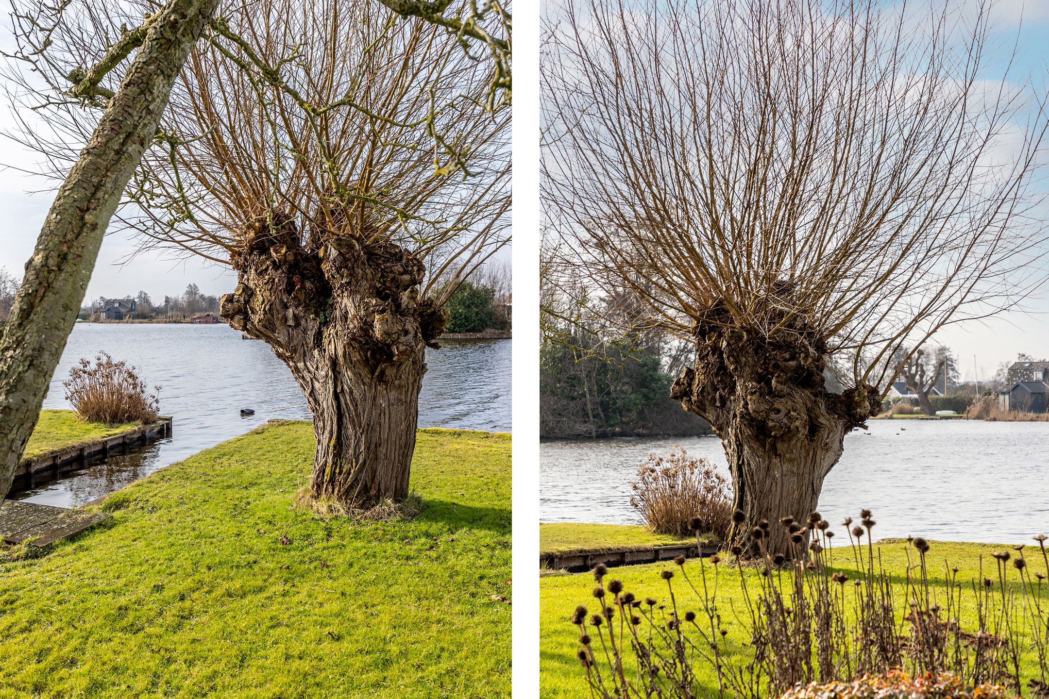 Foto 51 van Nieuwenbroeksedijk 4-A