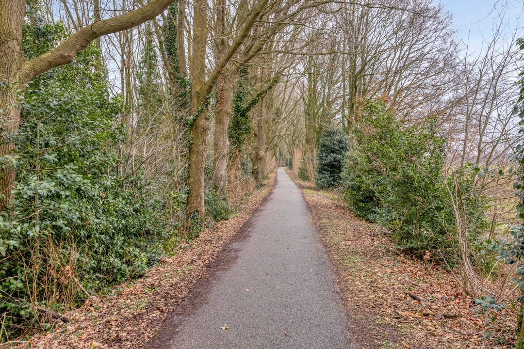 Foto 41 van Torenstraat 122