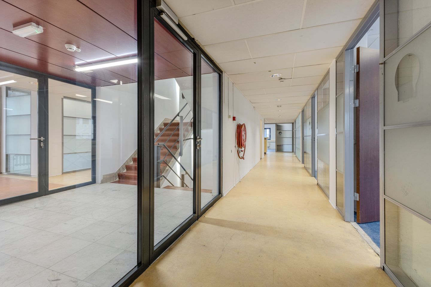 Bekijk foto 2 van Reigersbos 88