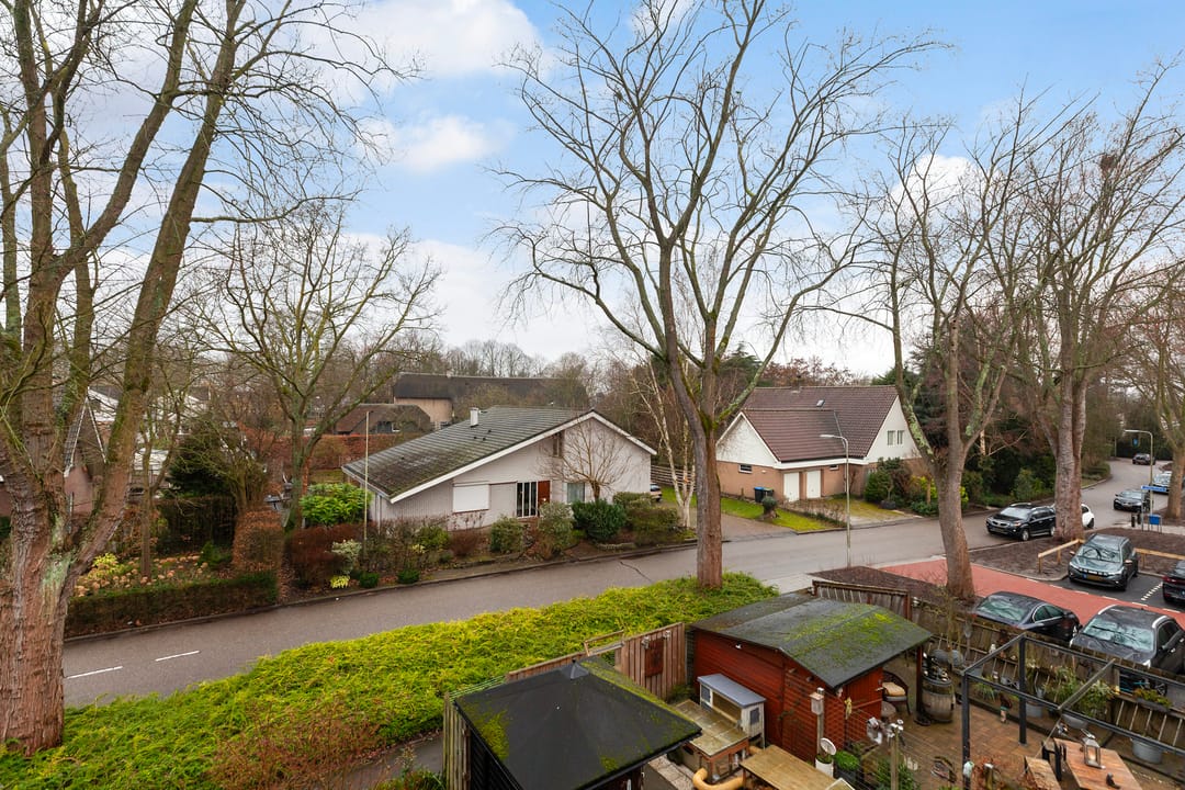 Photo 22 of Willem-Alexanderplantsoen 81