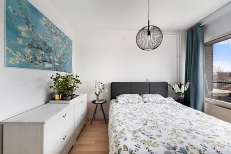 Santhorst 49 tertiary image