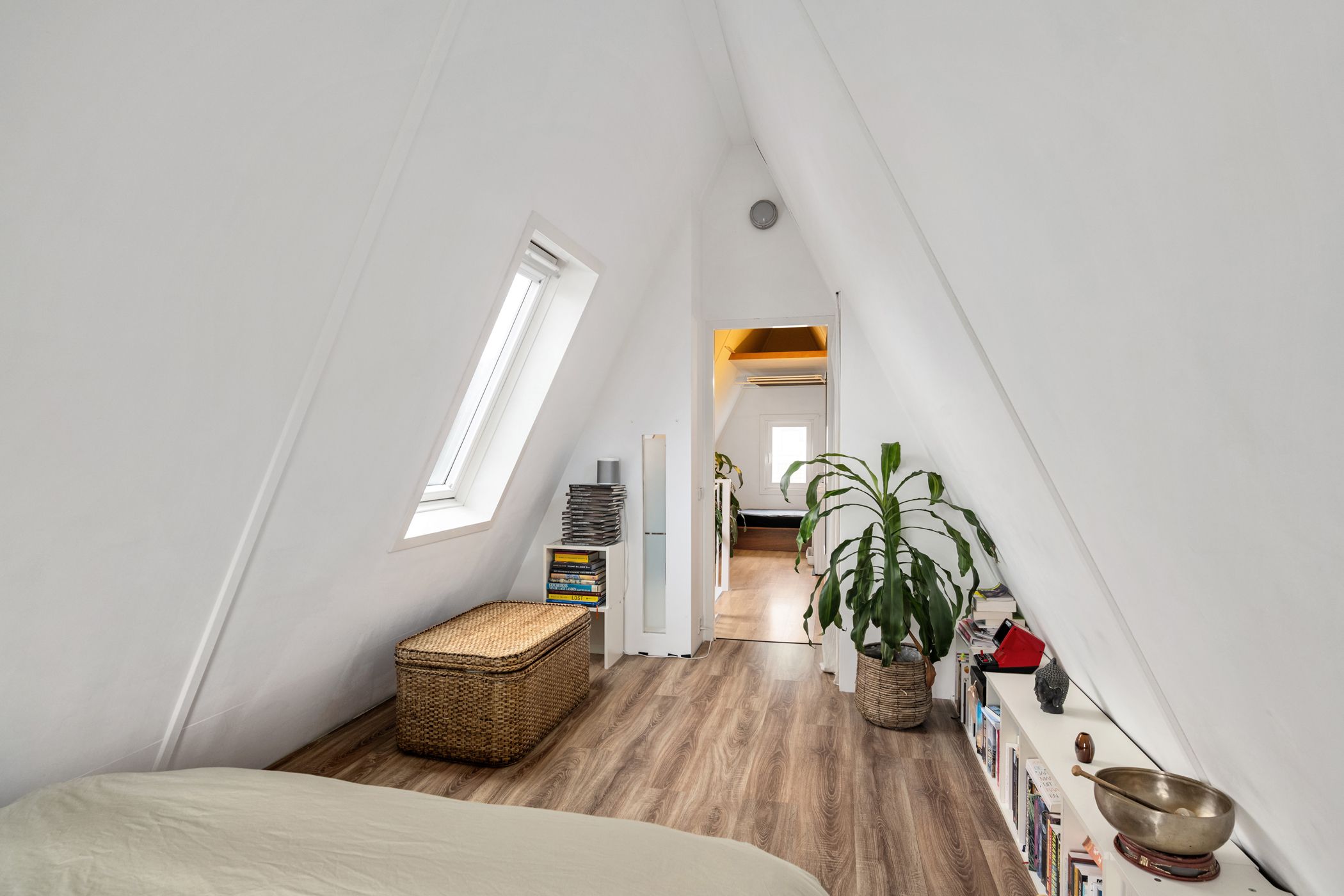 Photo 18 of Erasmustuin 22