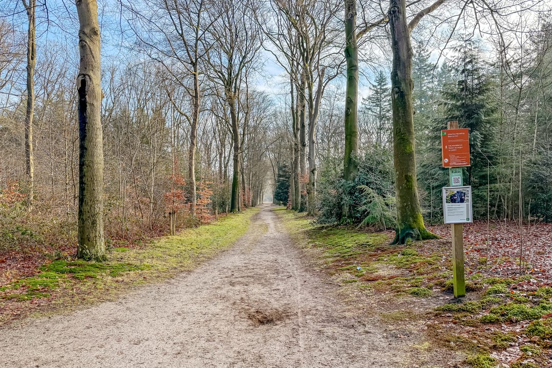 Photo 58 of Vredehofstraat 15-A