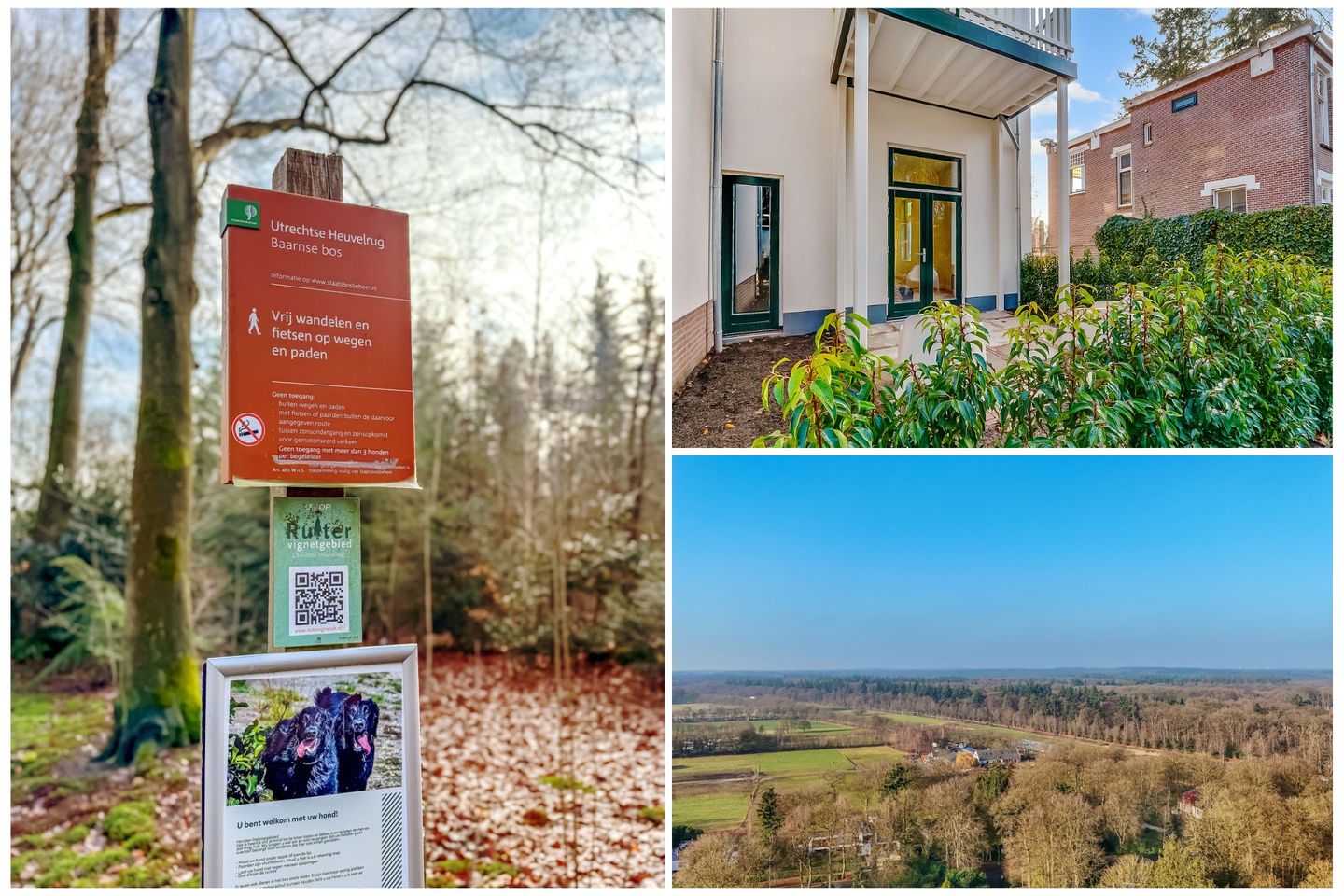 Photo 59 of Vredehofstraat 15-A