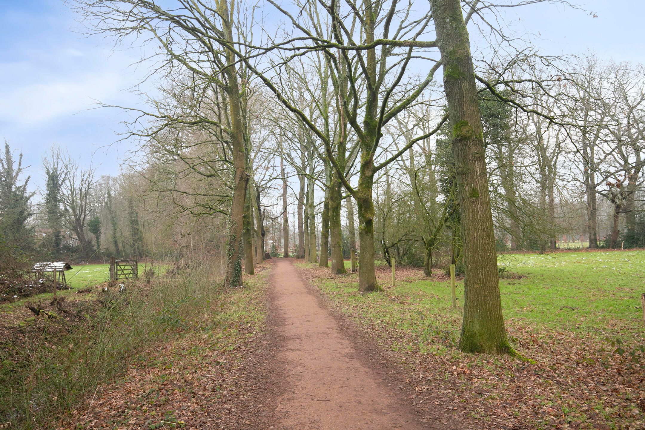 Photo 42 of Schothorsterlaan 55