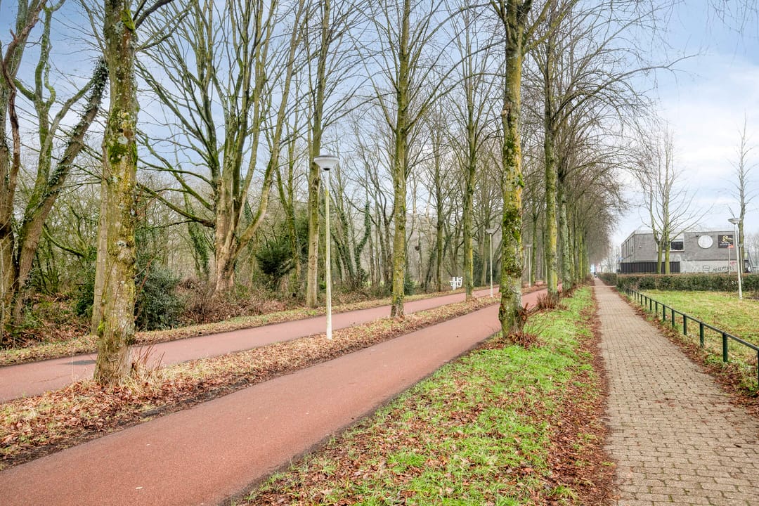 Photo 41 of Schothorsterlaan 55