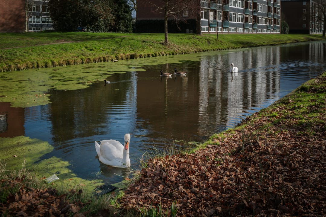 Foto 28 van Koning Wenzelstraat 1