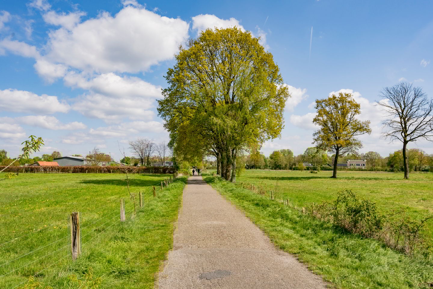 Foto 34 van Hollands Hoenlaan 7