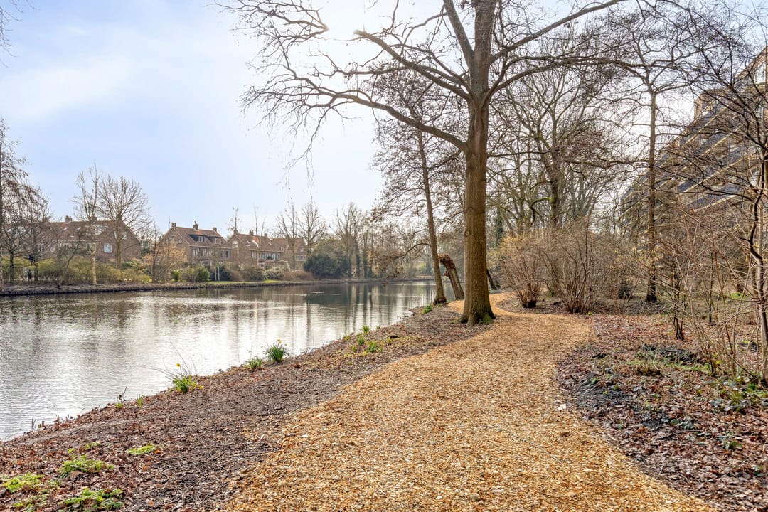 Foto 26 van Aert van Neslaan 528