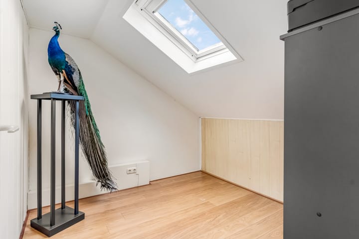 Foto 38 van Wildforster 94