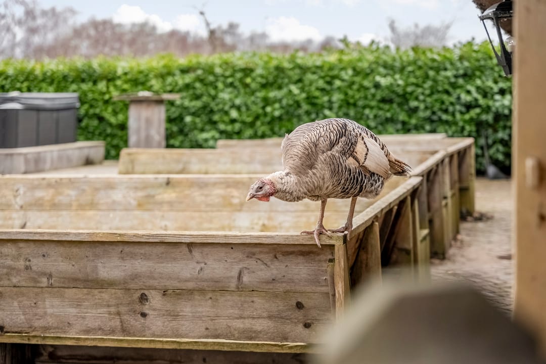 Foto 71 van Broekhuizen 18