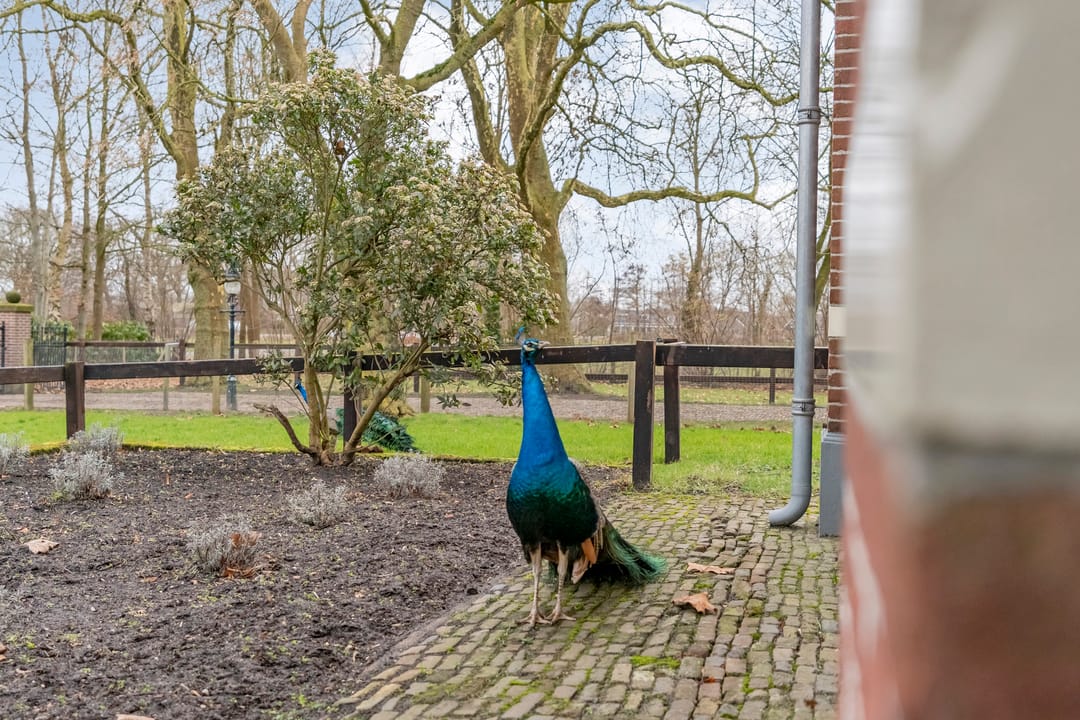 Foto 82 van Broekhuizen 18