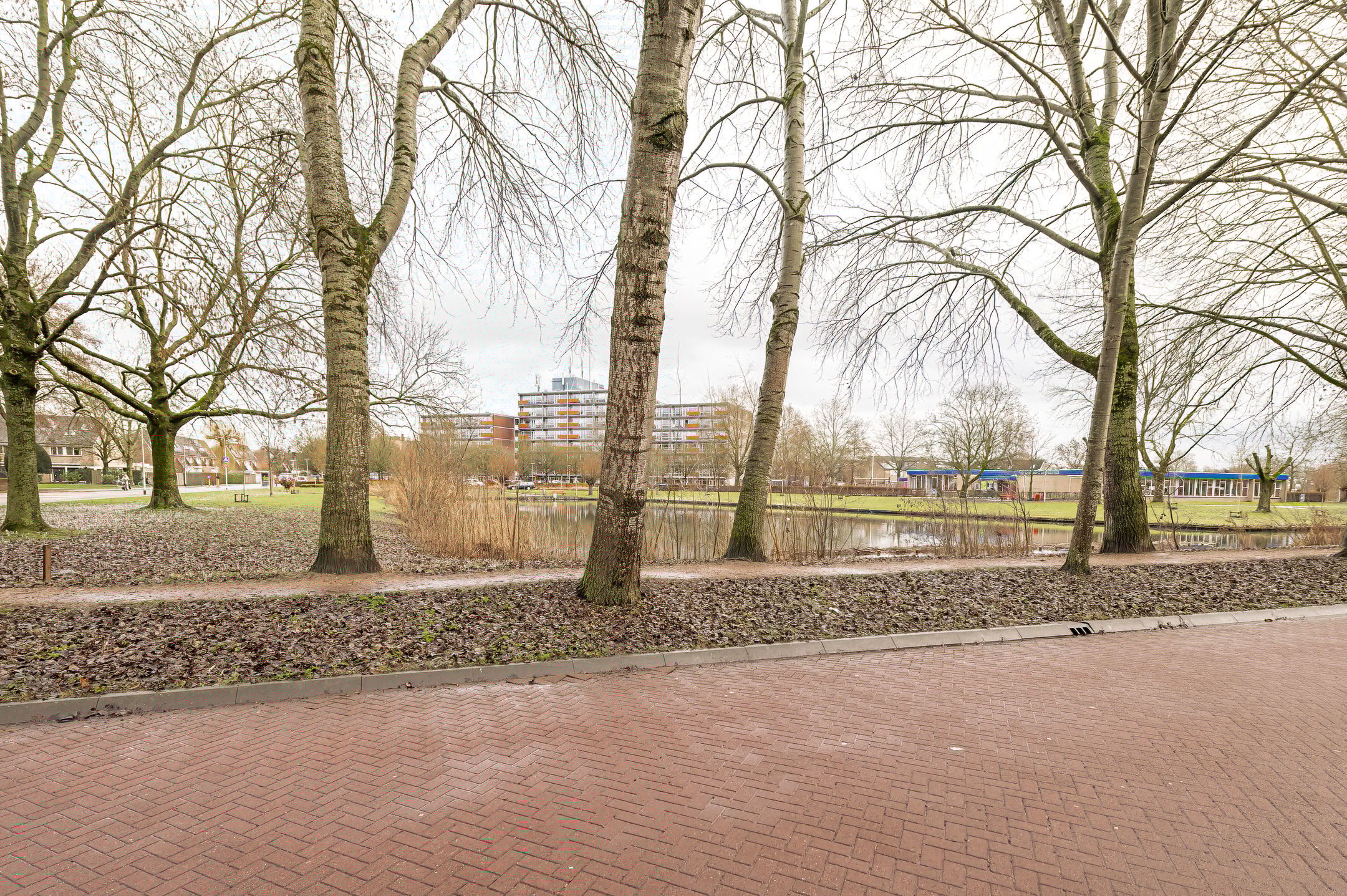 Photo 6 of Parklaan 123