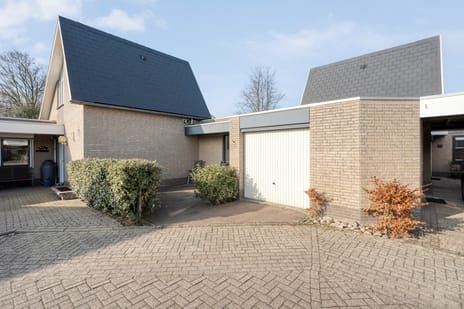 undefined main image