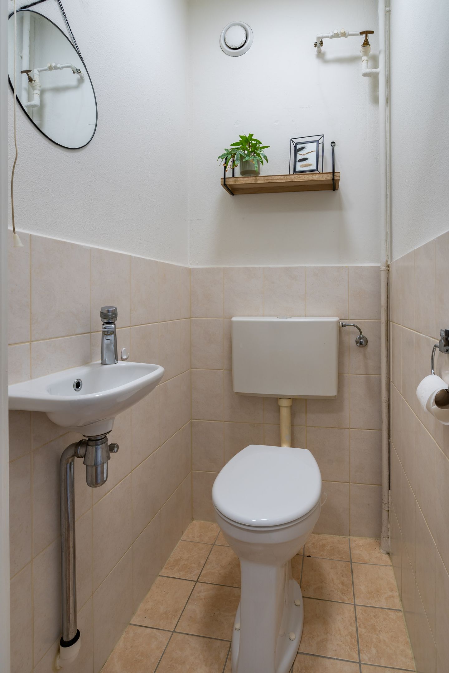 Foto 14 van Lupinesingel 146