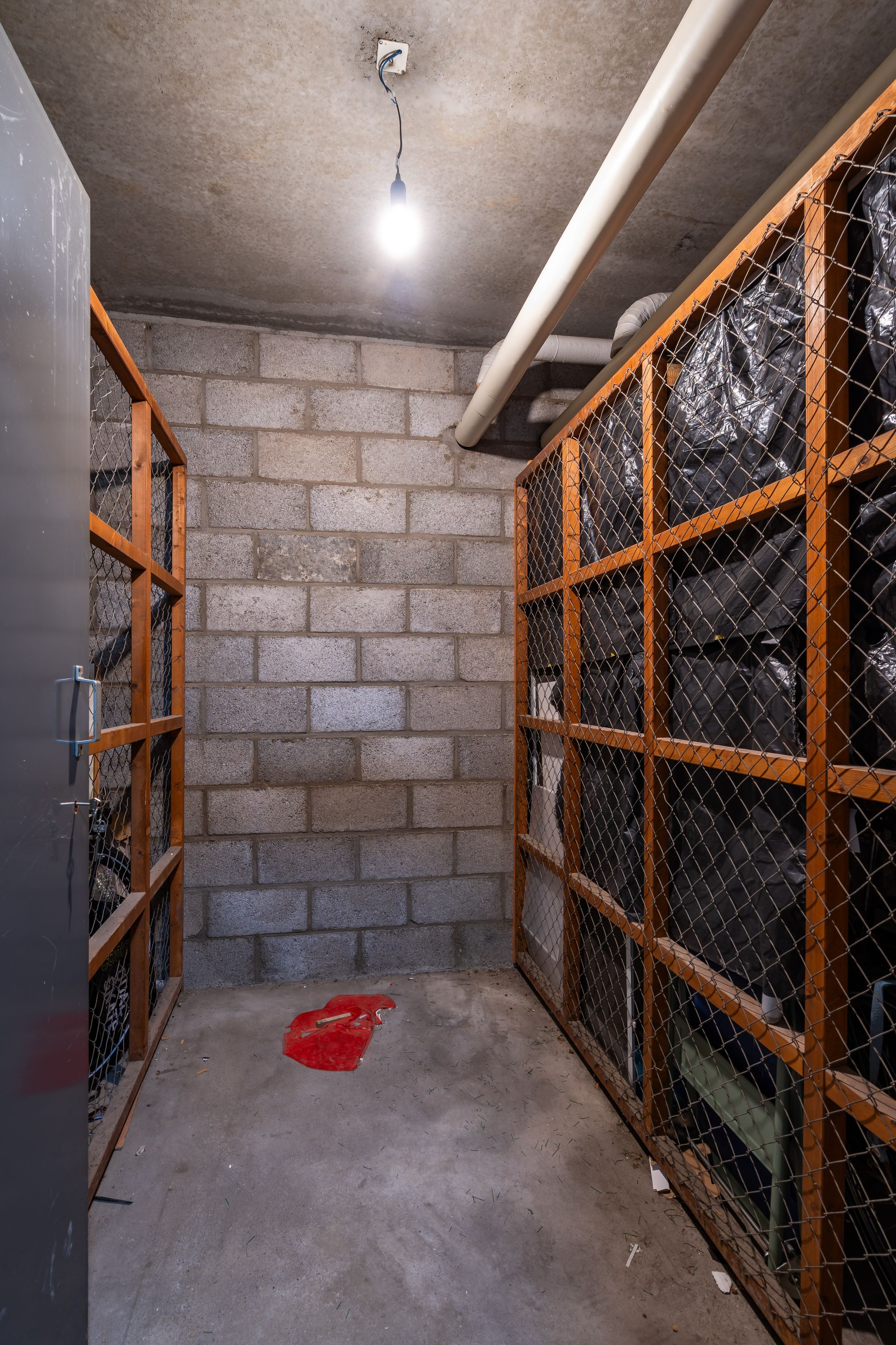 Foto 27 van Lupinesingel 146