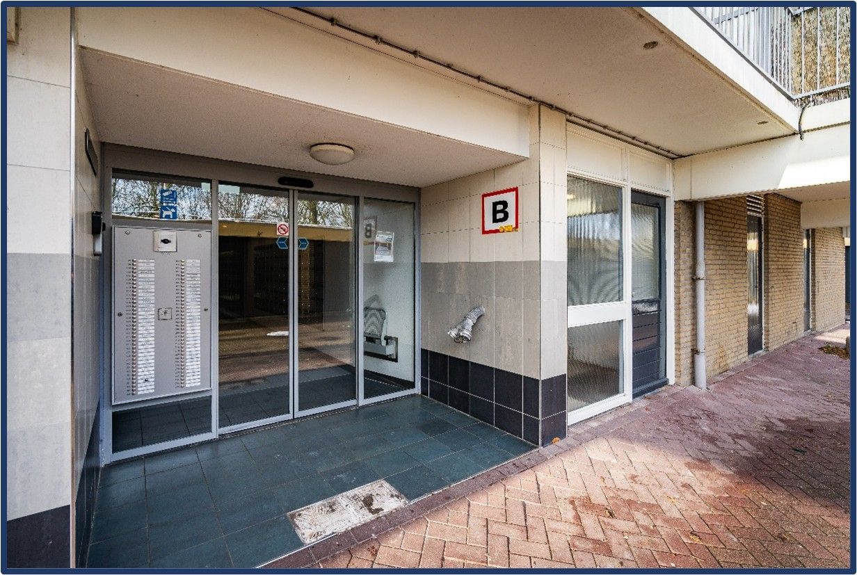 Foto 29 van Lupinesingel 146