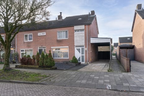 undefined main image