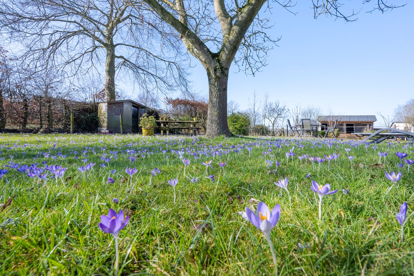 Foto 29 van Voorsterweg 105