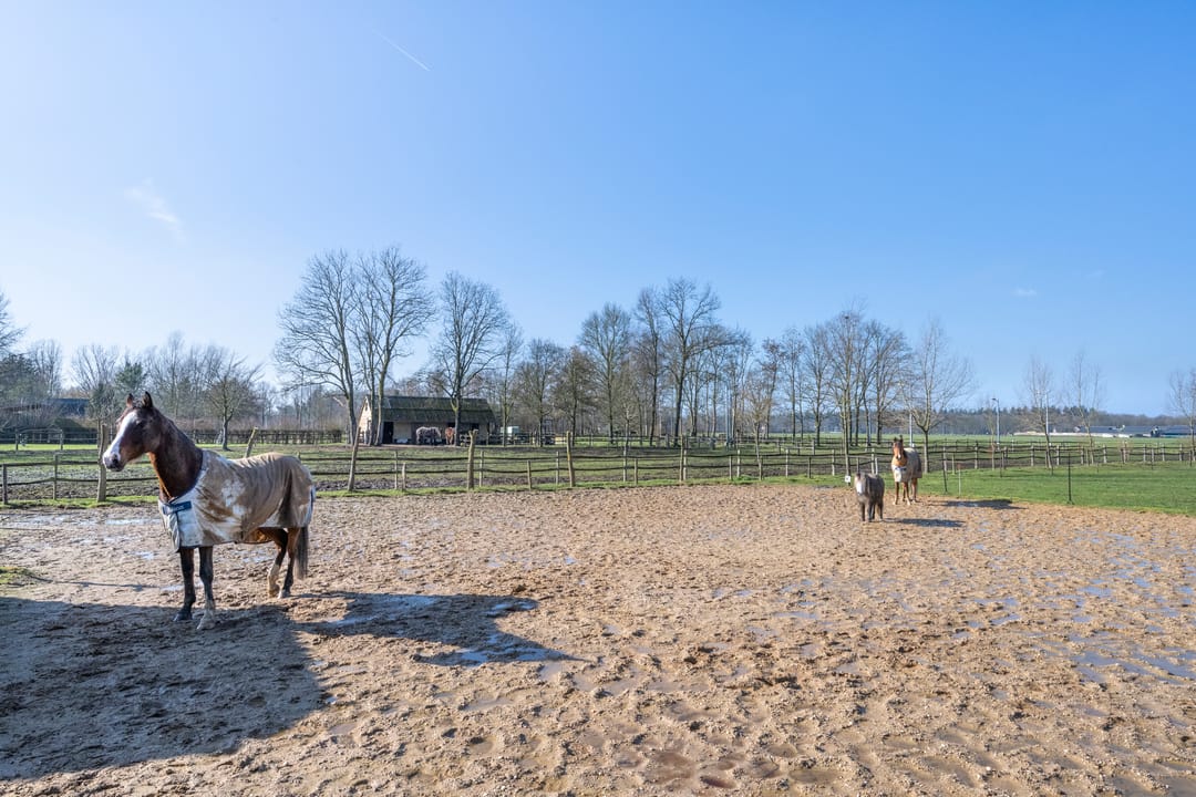 Foto 41 van Voorsterweg 105