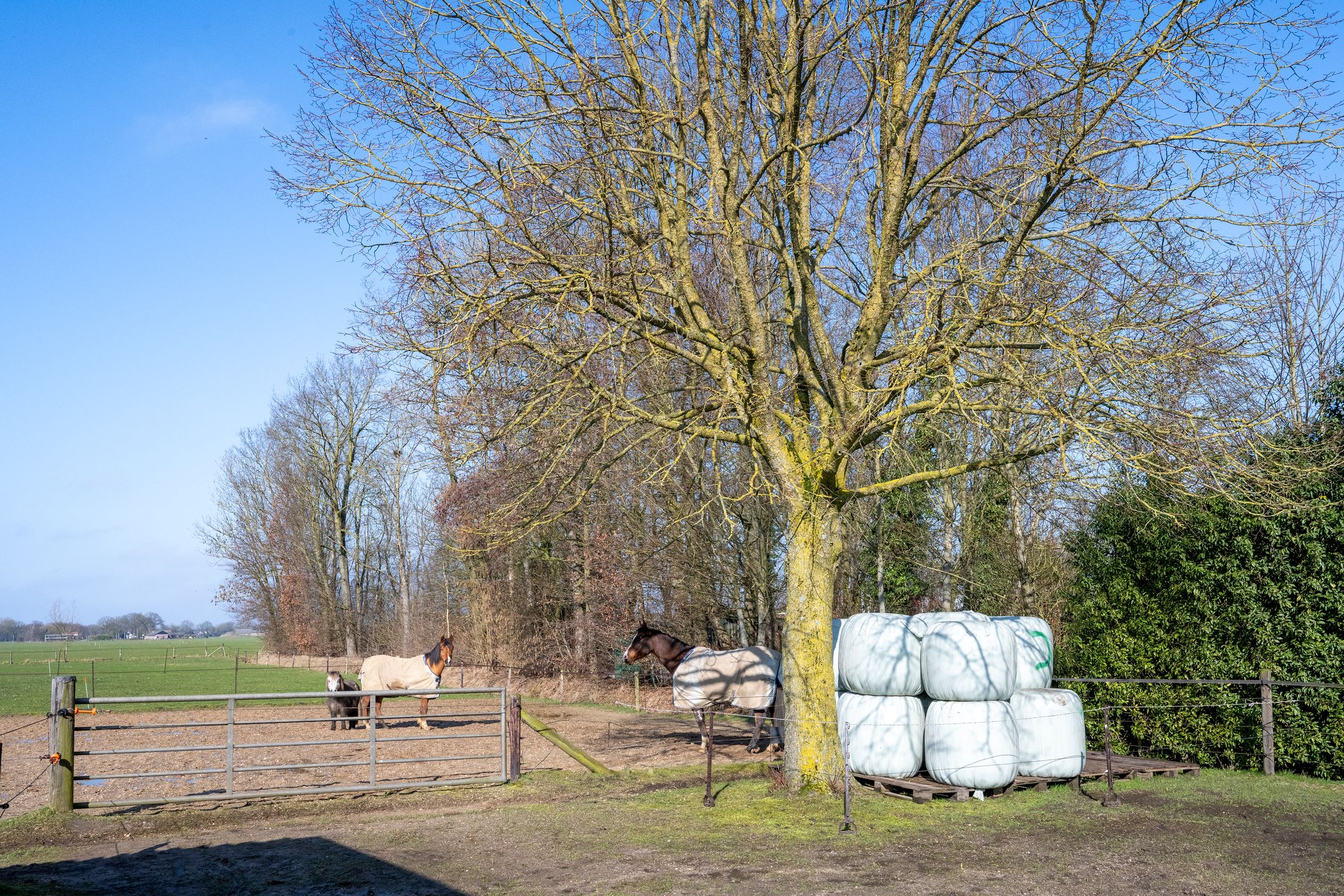 Foto 42 van Voorsterweg 105