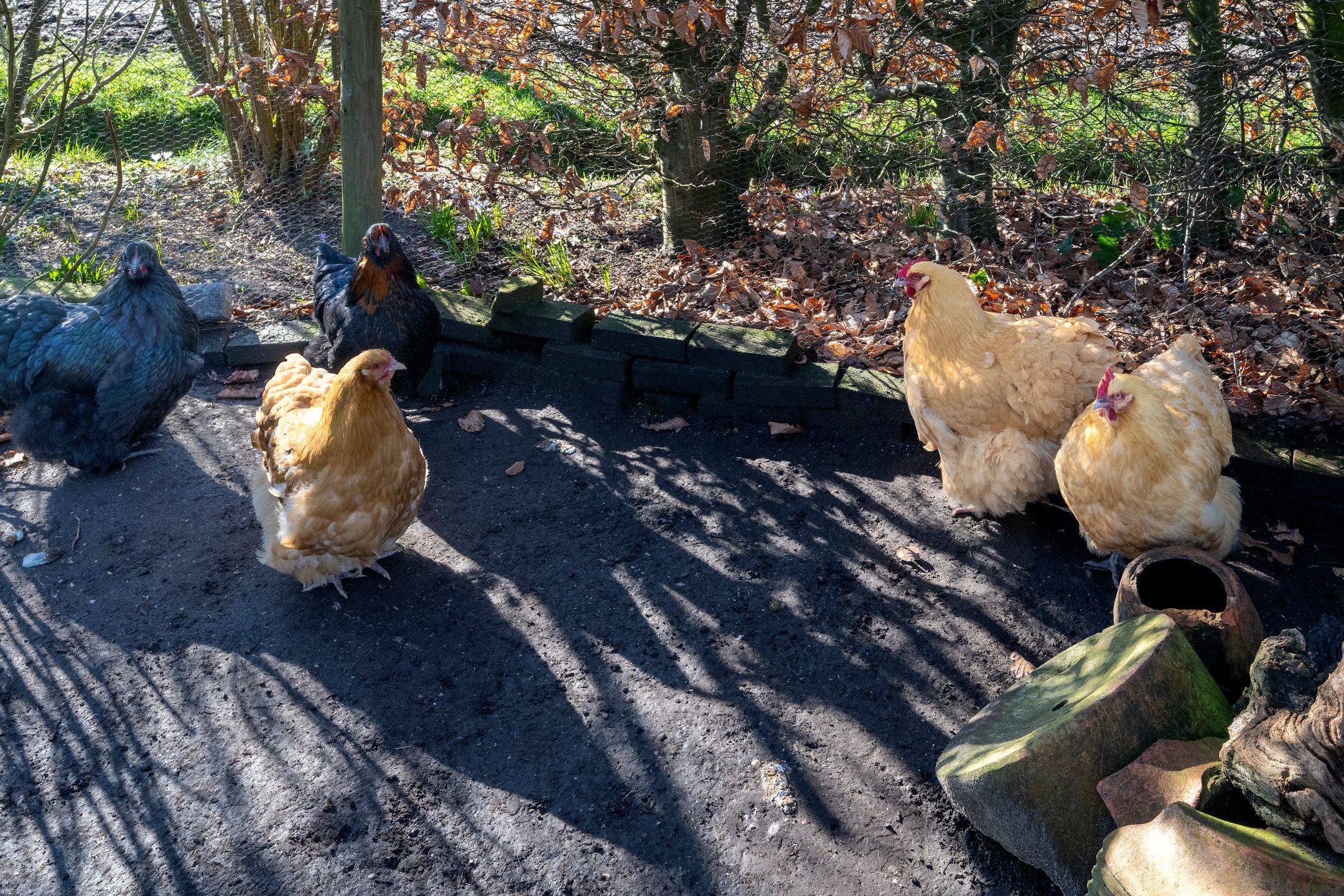 Foto 27 van Voorsterweg 105