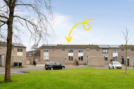 undefined main image