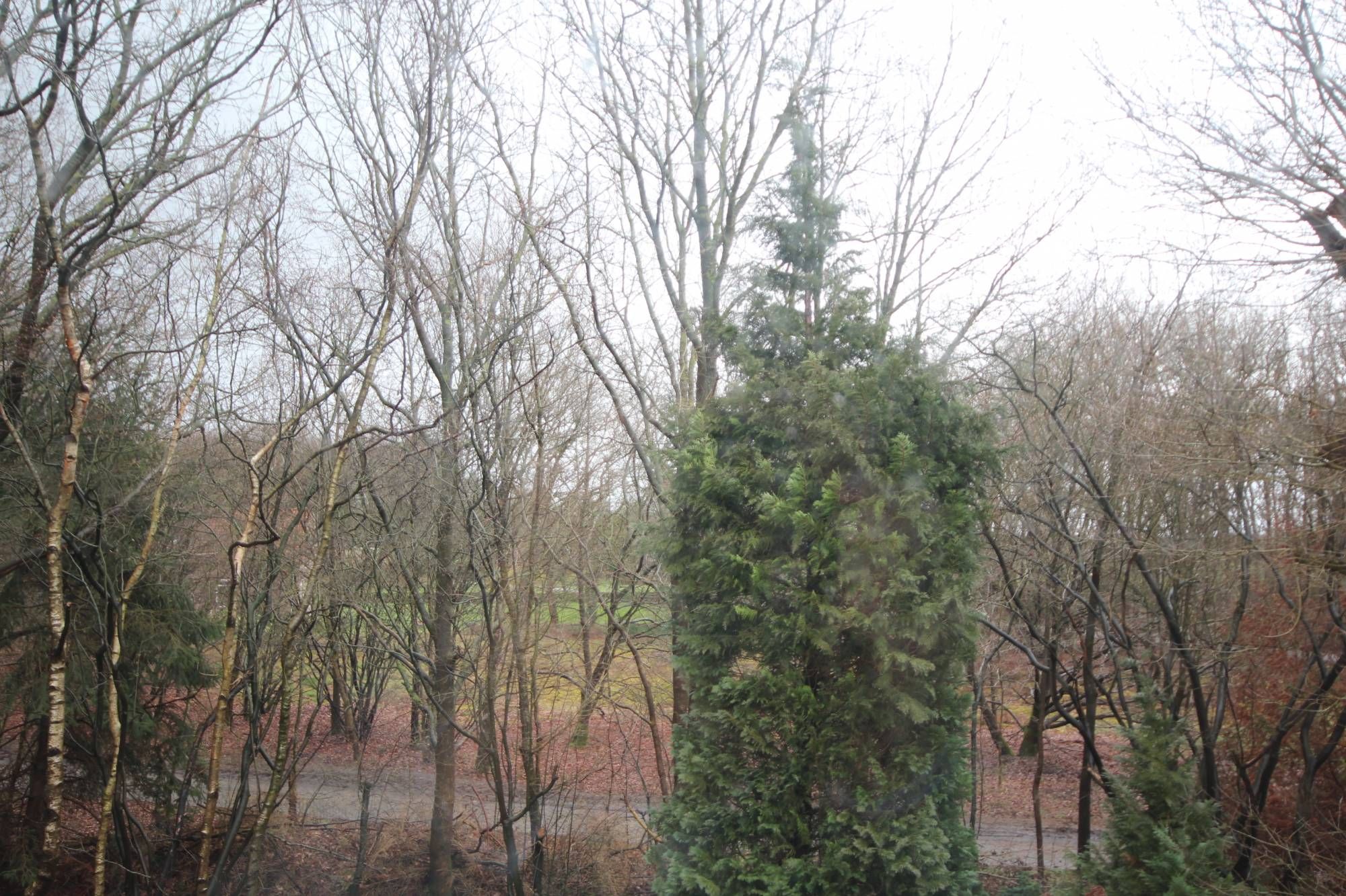Photo 27 of Witteveen 20-K