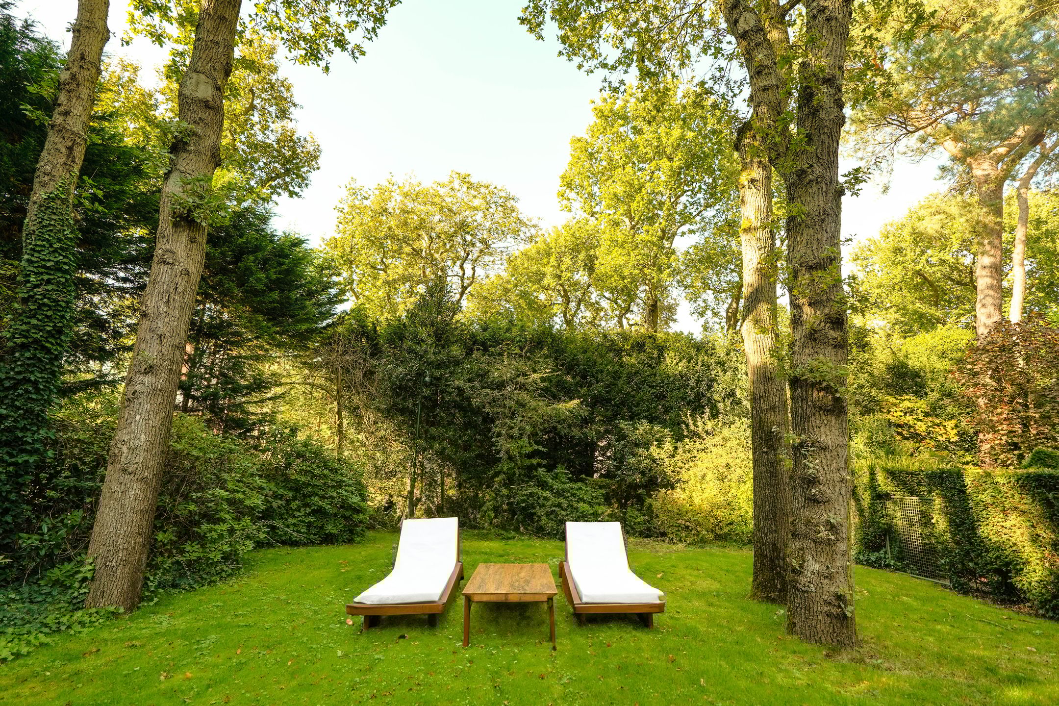 Foto 21 van Schouwweg 86