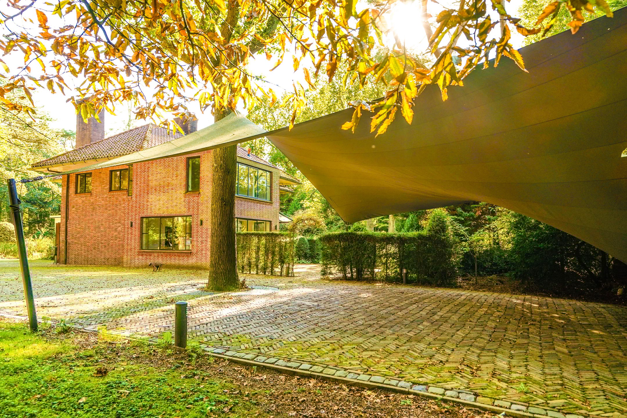 Foto 72 van Schouwweg 86