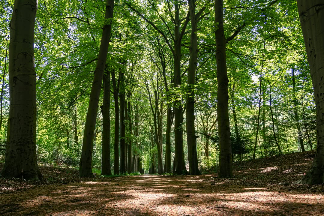 Foto 82 van Schouwweg 86