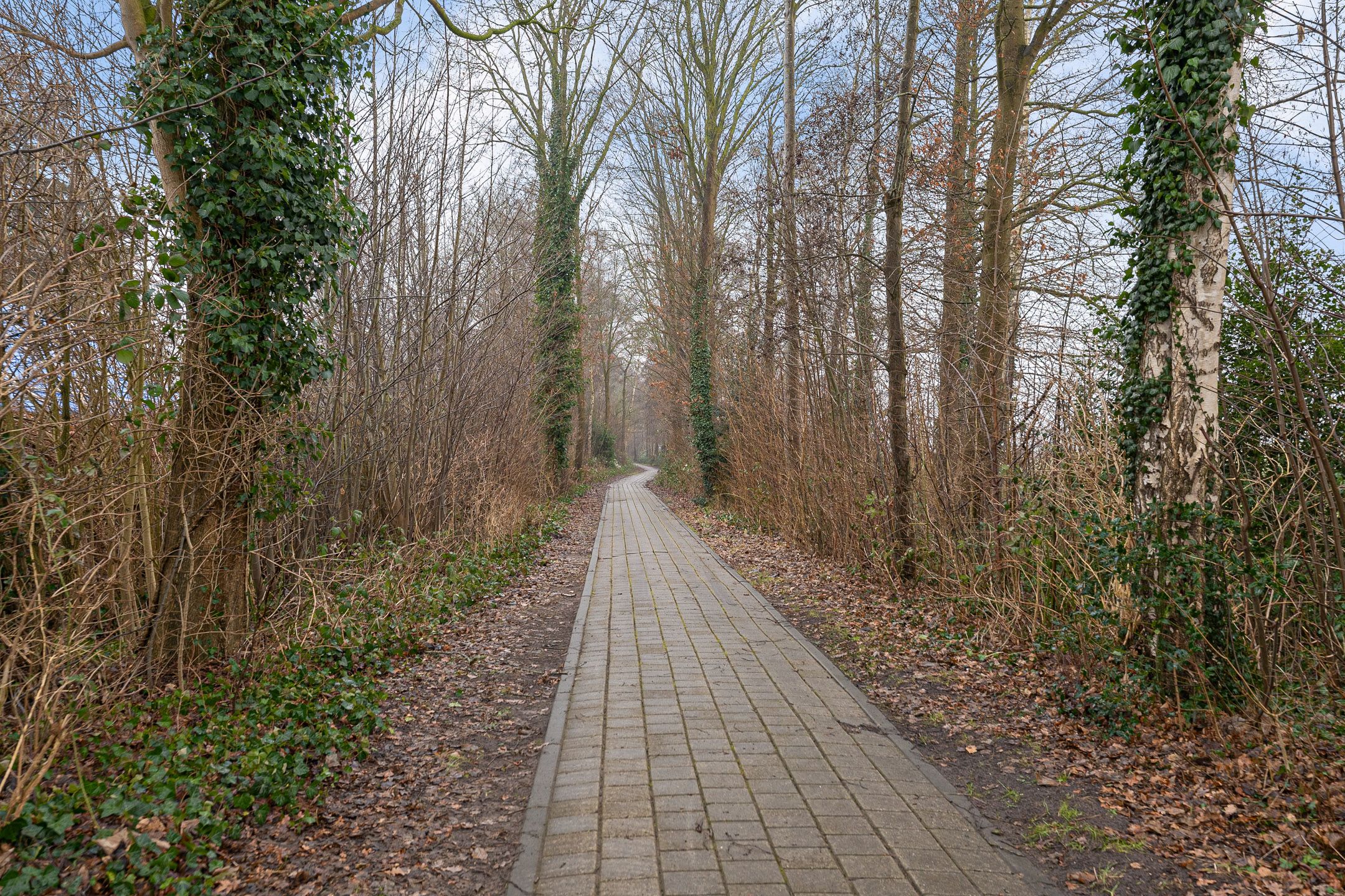 Photo 33 of Raiffeisenstraat 51