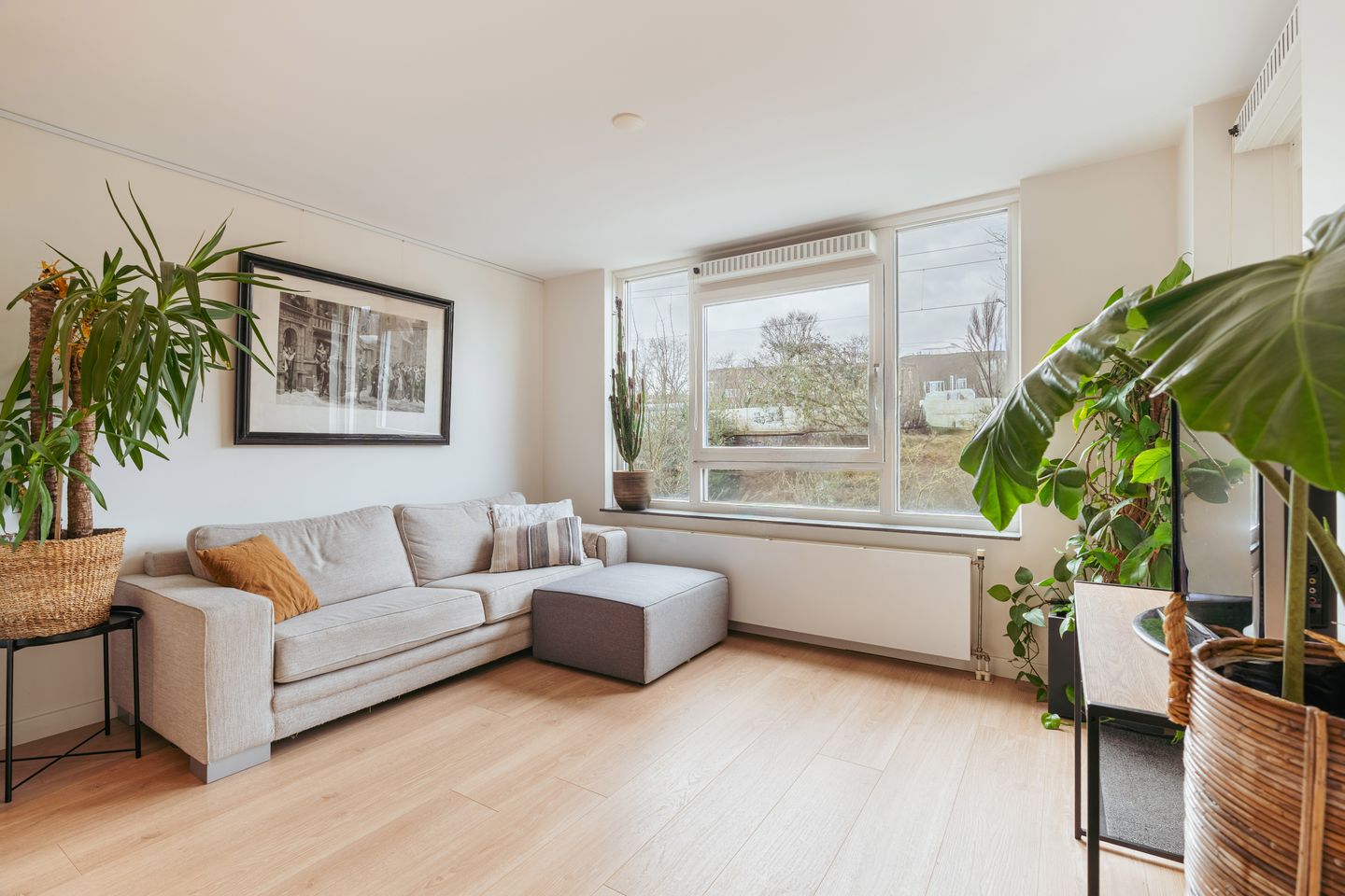 Foto 20 van Hofmeyrstraat 2-D