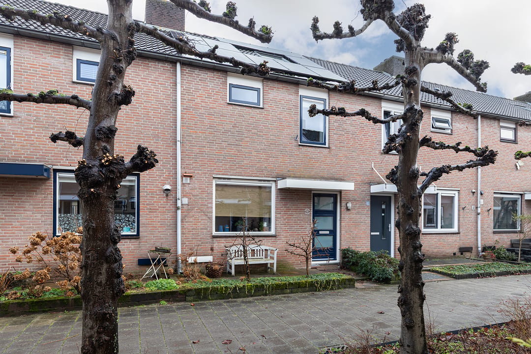 Foto 1 van Hondsdraf 9