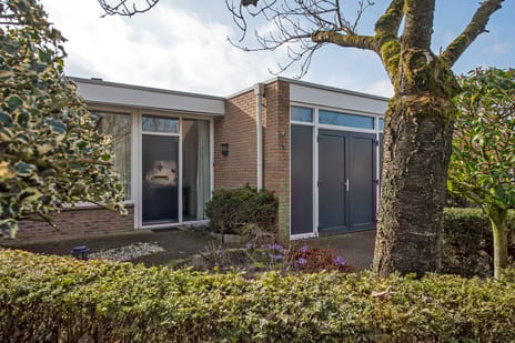 Borg Piloursema 7 secondary image