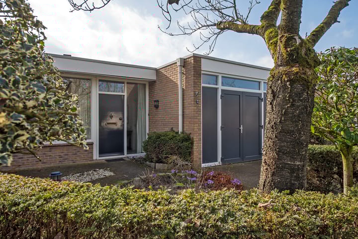 Foto 2 van Borg Piloursema 7