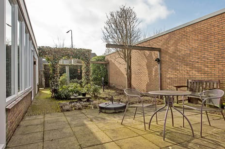 Borg Piloursema 7 tertiary image