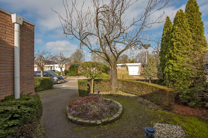 Foto 25 van Borg Piloursema 7