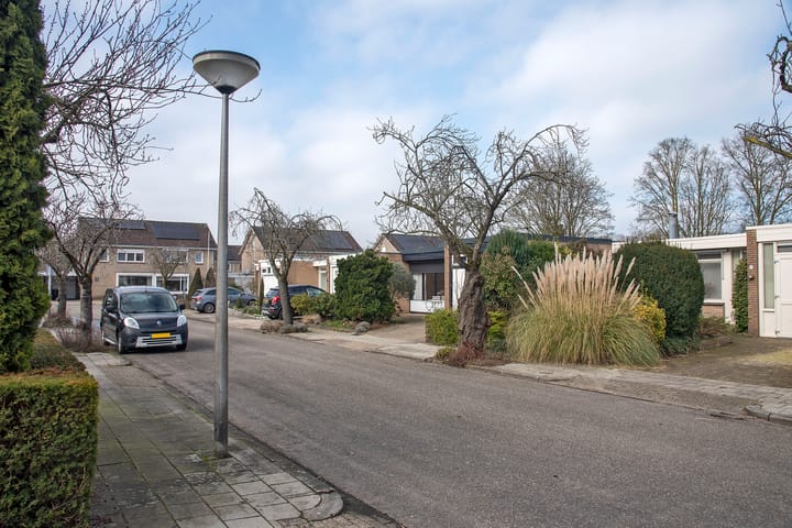 Foto 30 van Borg Piloursema 7