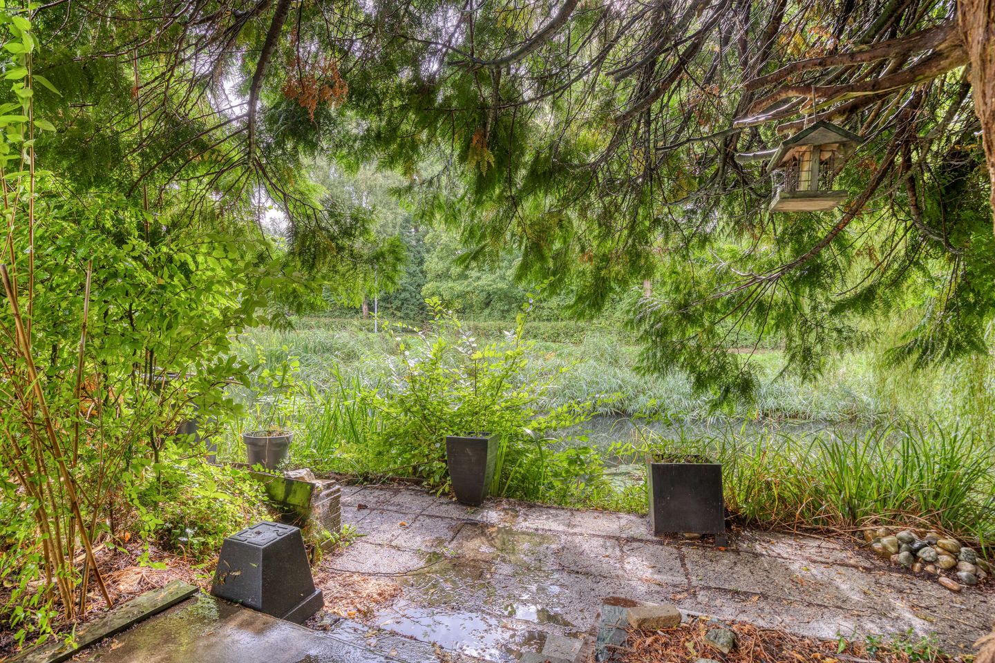 Photo 25 of Monnet-Nes 3