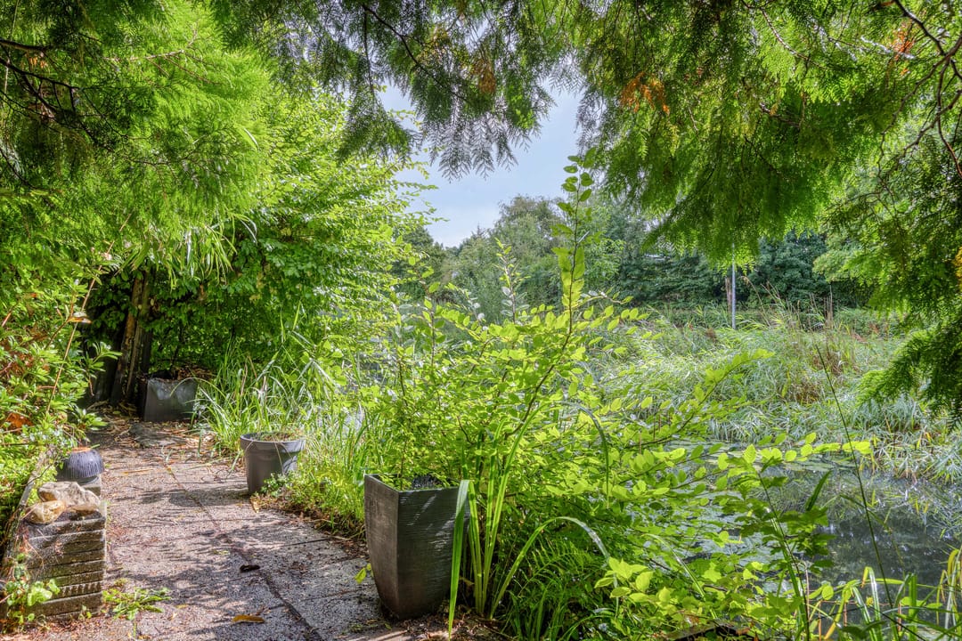 Photo 31 of Monnet-Nes 3