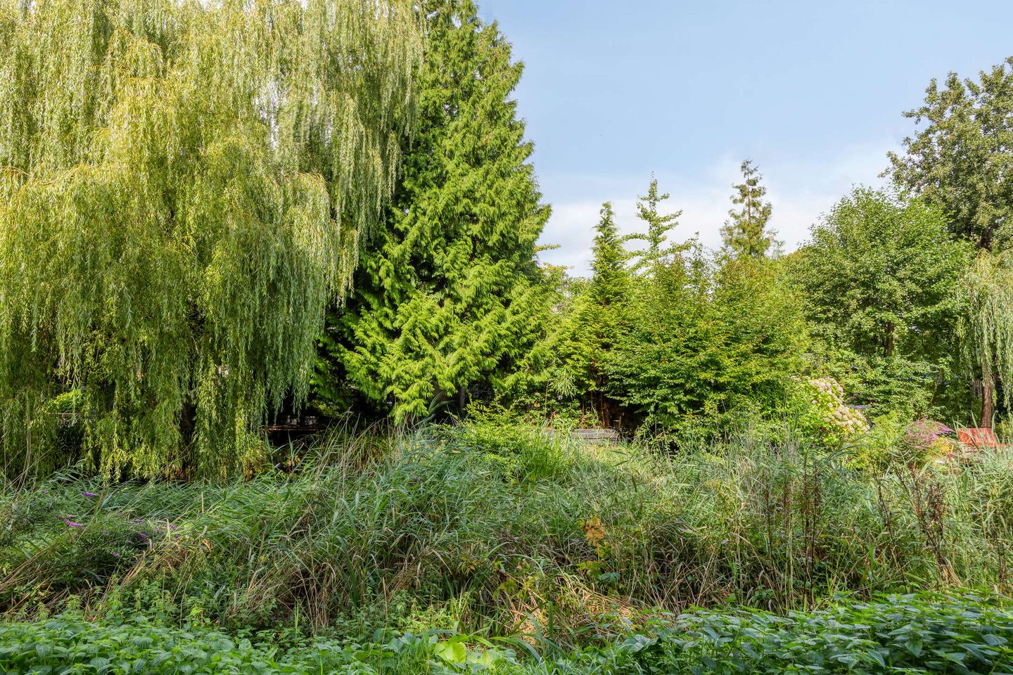 Photo 34 of Monnet-Nes 3