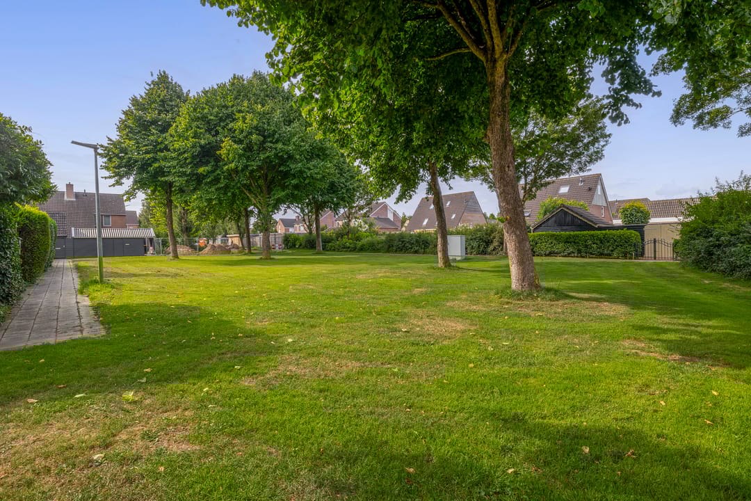 Photo 46 of Kalmoes 6