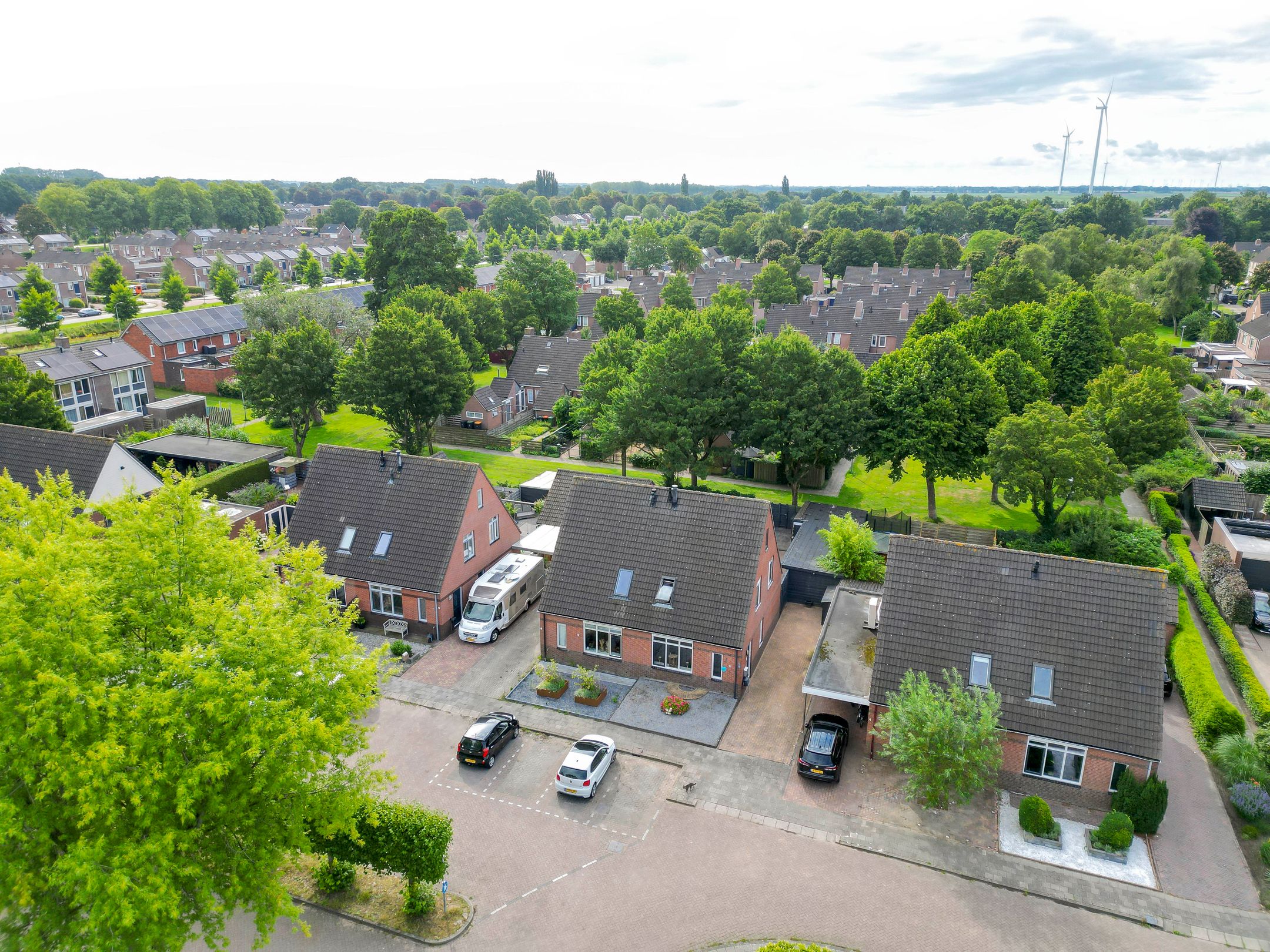 Photo 39 of Kalmoes 6