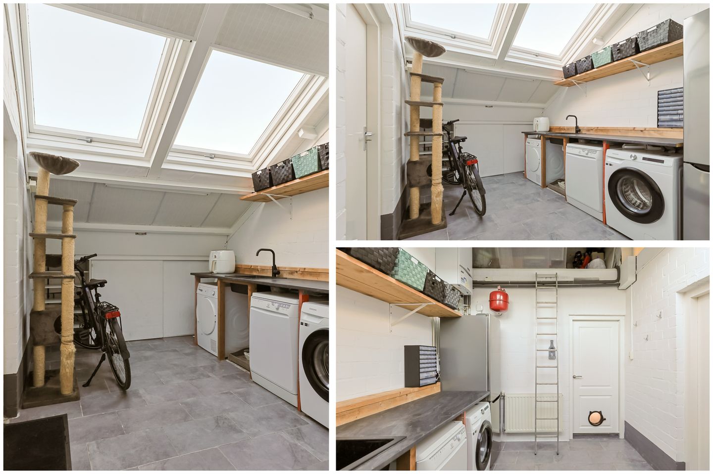 Photo 35 of Jan Switzerpad 6