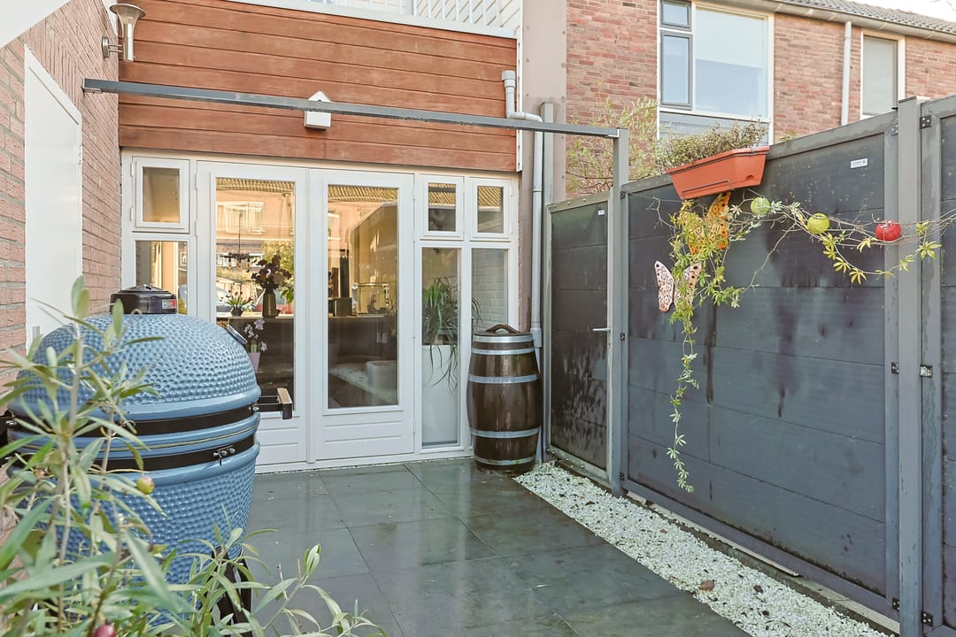 Photo 41 of Jan Switzerpad 6